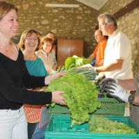 Une distribution