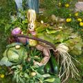 Panier avril 2019