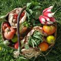 Panier 1 Sept 19 